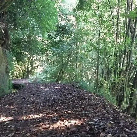 펜션 Casa Shalom *