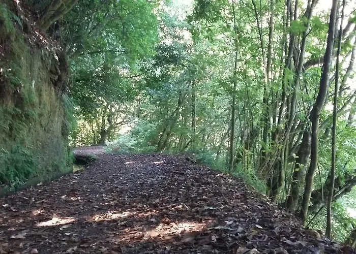 Prázdninový dům Casa Shalom *