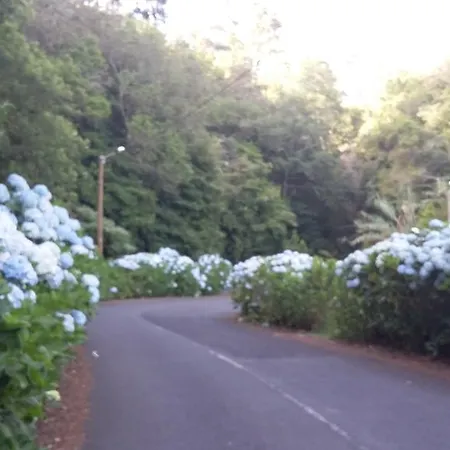 Casa Shalom * São Roque do Faial