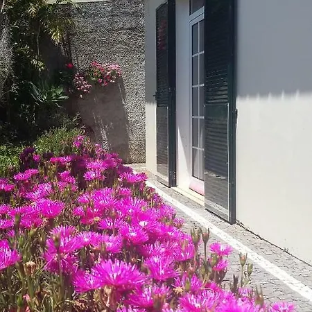 Casa Shalom *