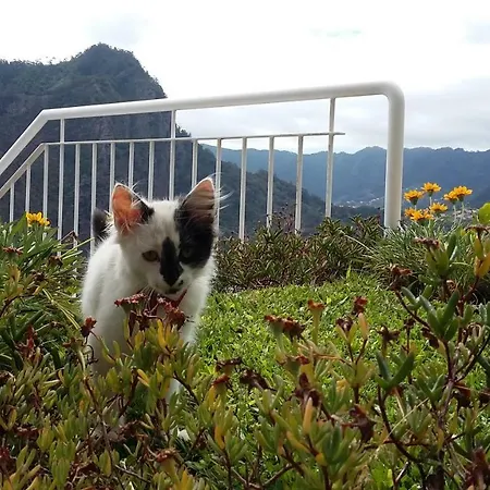 Casa Shalom Feriehus São Roque do Faial