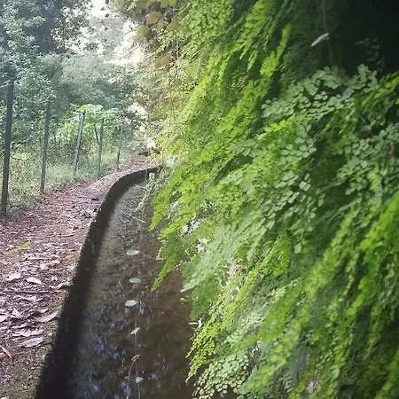 Casa Shalom 펜션 São Roque do Faial