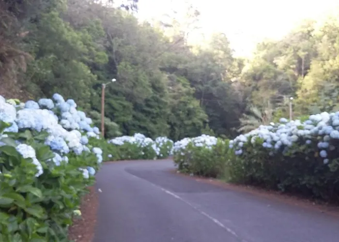 Casa Shalom * Sao Roque Do Faial