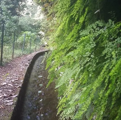 Casa Shalom Holiday home Sao Roque Do Faial